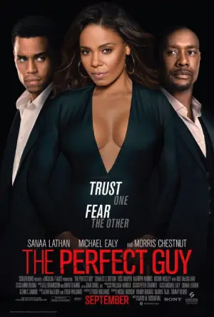 ✅ Download The Perfect Guy (2015) BluRay Full Movie (Hindi-English) 480p & 720p & 1080p Qualities. This is a Hollywood movie and Available in 480p in , 720p...