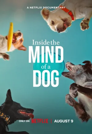 ✅ Download Inside The Mind Of A Dog (2024) NF WEB-DL Full Movie (Hindi-English) 480p & 720p & 1080p Qualities. This is a Hollywood Hindi Dubbed movie and...